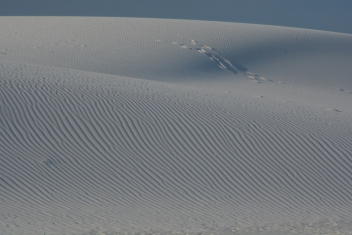 white sands dunes